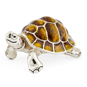 66079 ST291-2-Yellow-Turtle-family-194